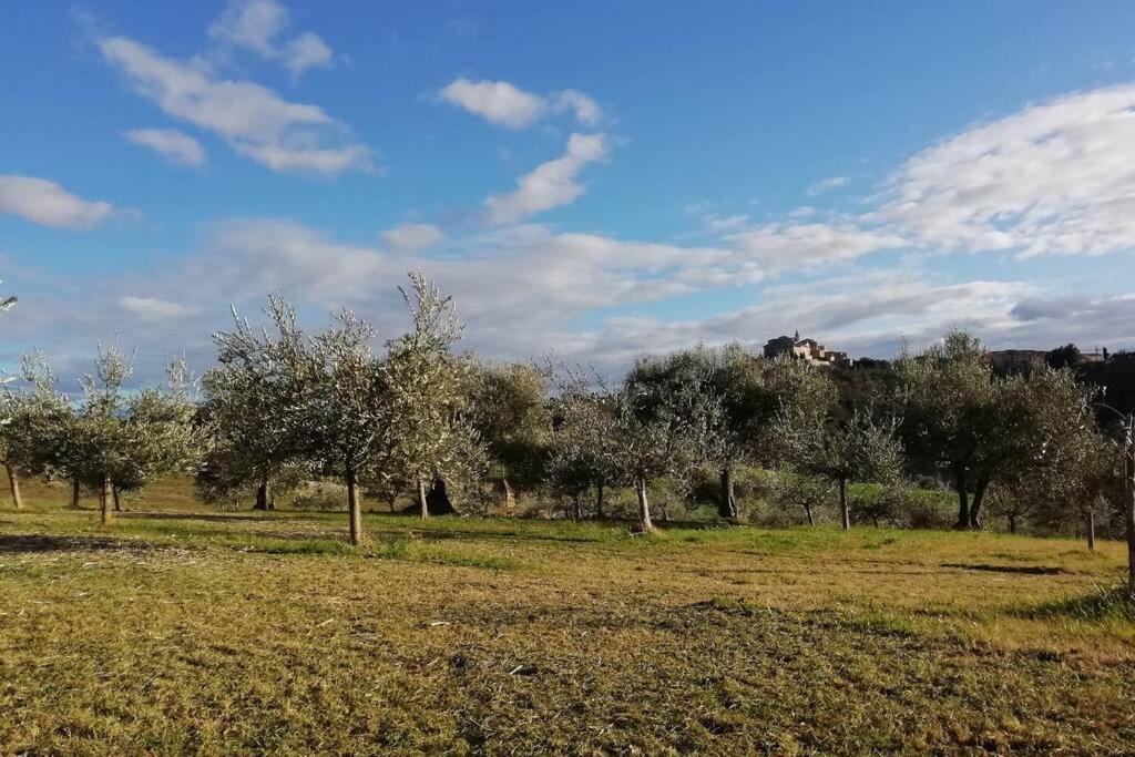 Casa Kikenda, Viaggio Nella Natura Treia Dış mekan fotoğraf