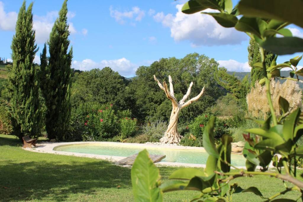Casa Kikenda, Viaggio Nella Natura Treia Dış mekan fotoğraf