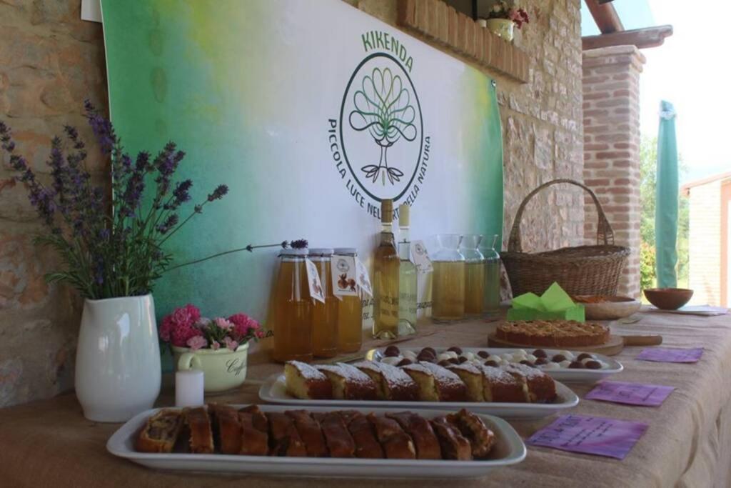 Casa Kikenda, Viaggio Nella Natura Treia Dış mekan fotoğraf