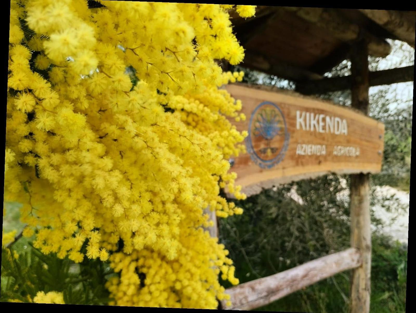Casa Kikenda, Viaggio Nella Natura Treia Dış mekan fotoğraf