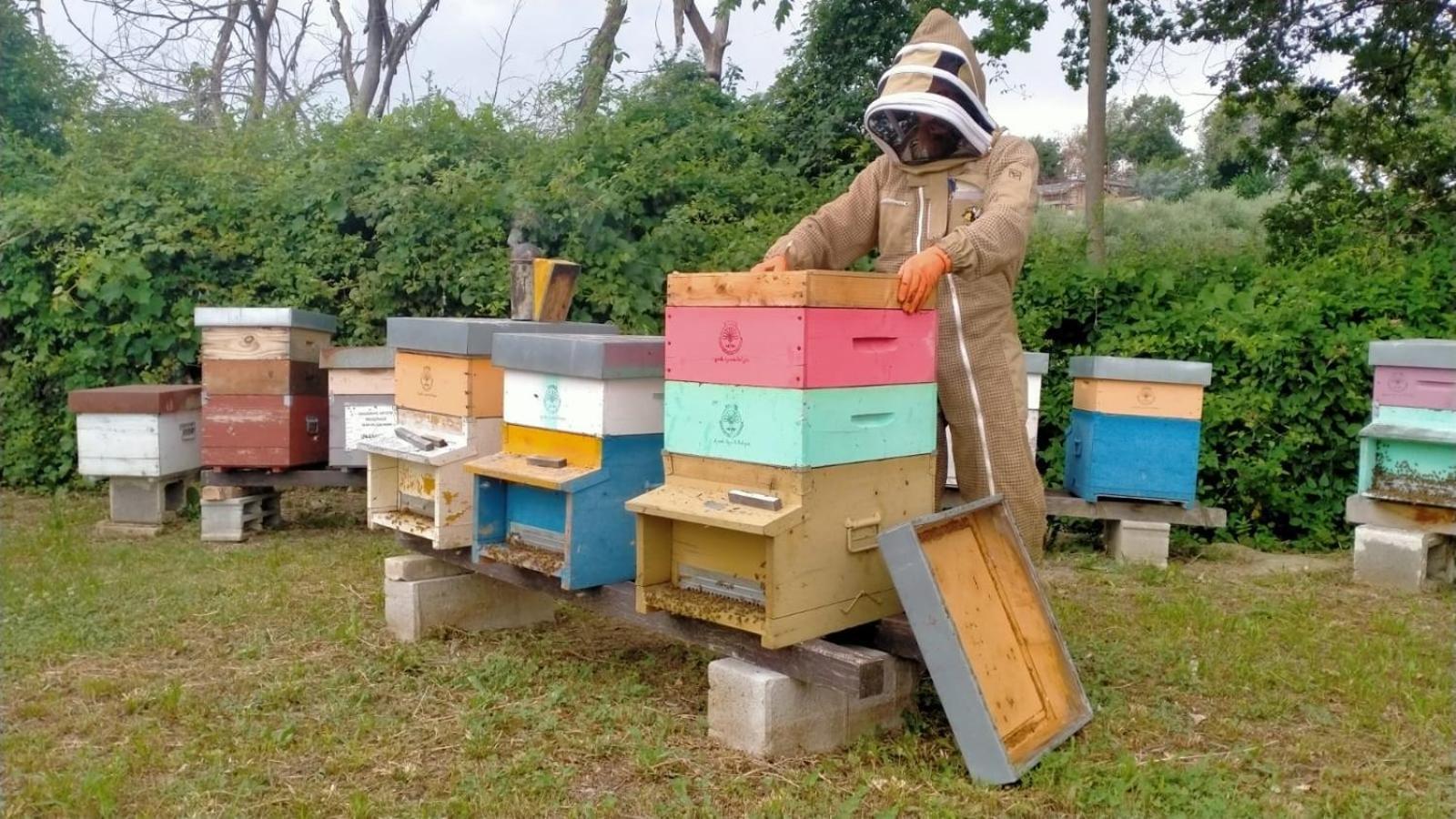 Casa Kikenda, Viaggio Nella Natura Treia Dış mekan fotoğraf