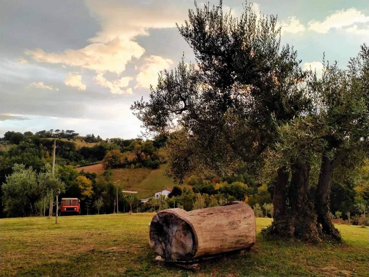 Casa Kikenda, Viaggio Nella Natura Treia Dış mekan fotoğraf
